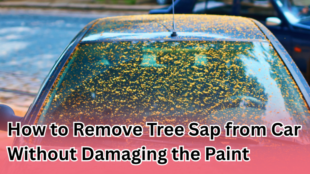 How to Remove Tree Sap from Your Car Without Damaging the Paint