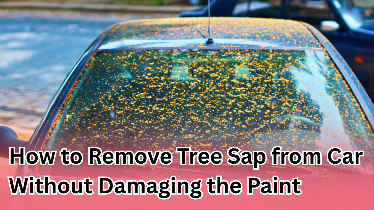 How to Remove Tree Sap from Your Car Without Damaging the Paint