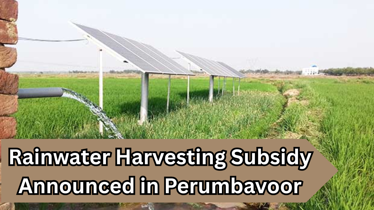 Rainwater Harvesting Subsidy Announced in Perumbavoor for 2025